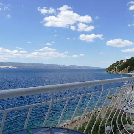 Pere S Mora 미미체