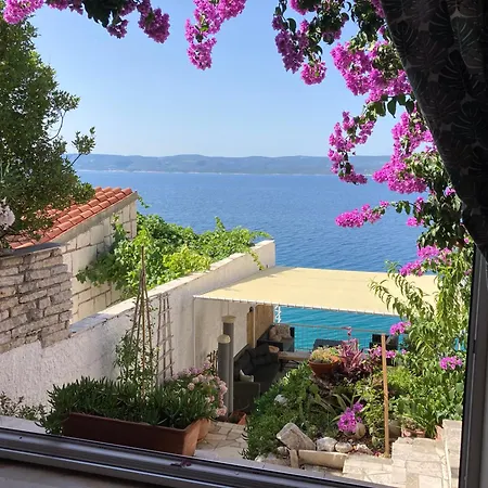 Guest house Pere S Mora Mimice